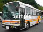 車名が入ります